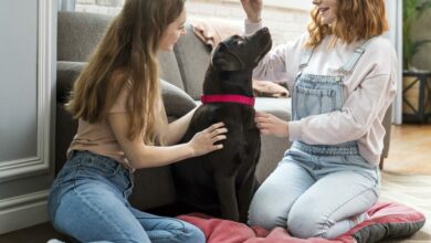 full shot women and dog in living room scaled 1