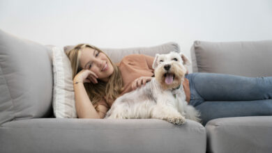 medium shot smiley woman and dog on couch scaled 1