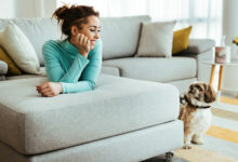 mulher feliz deitada no sofa enquanto relaxa com seu cachorro em casa scaled 1